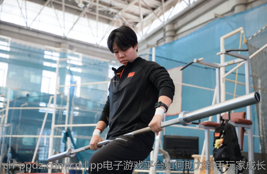 pp电子游戏平台如何助力新手玩家成长