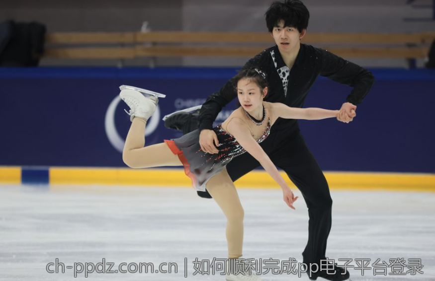 如何顺利完成pp电子平台登录