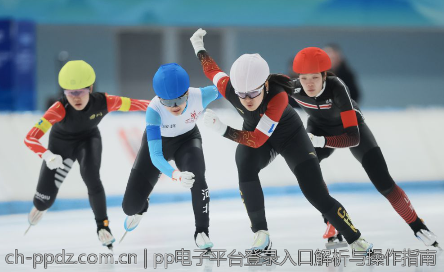 pp电子平台登录入口解析与操作指南